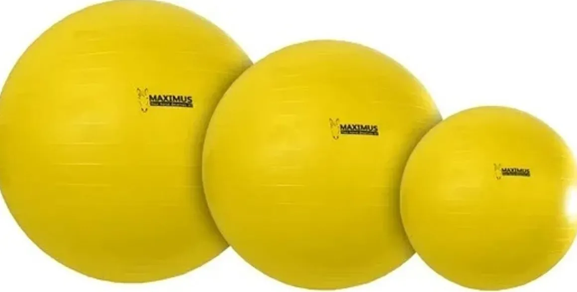 Maximus lekeball 75cm