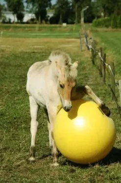 Maximus lekeball 75cm