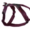 Non-Stop Dogwear Line Harness 5.0 Hundesele - Purple