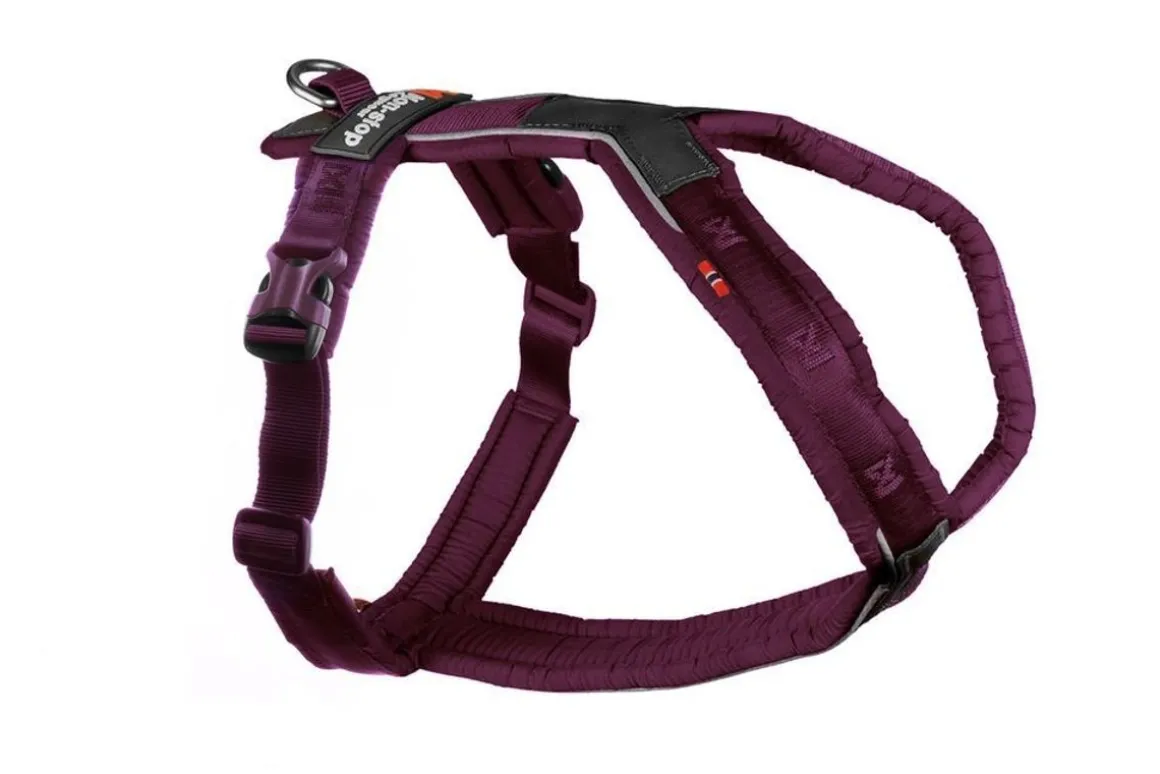 Non-Stop Dogwear Line Harness 5.0 Hundesele - Purple
