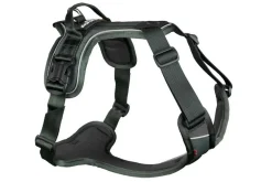 Non-Stop Dogwear Ramble Harness Hundesele - Green