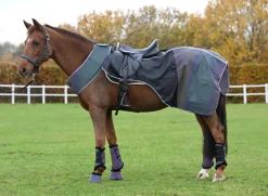 Rainbow Refleks Ridedekken