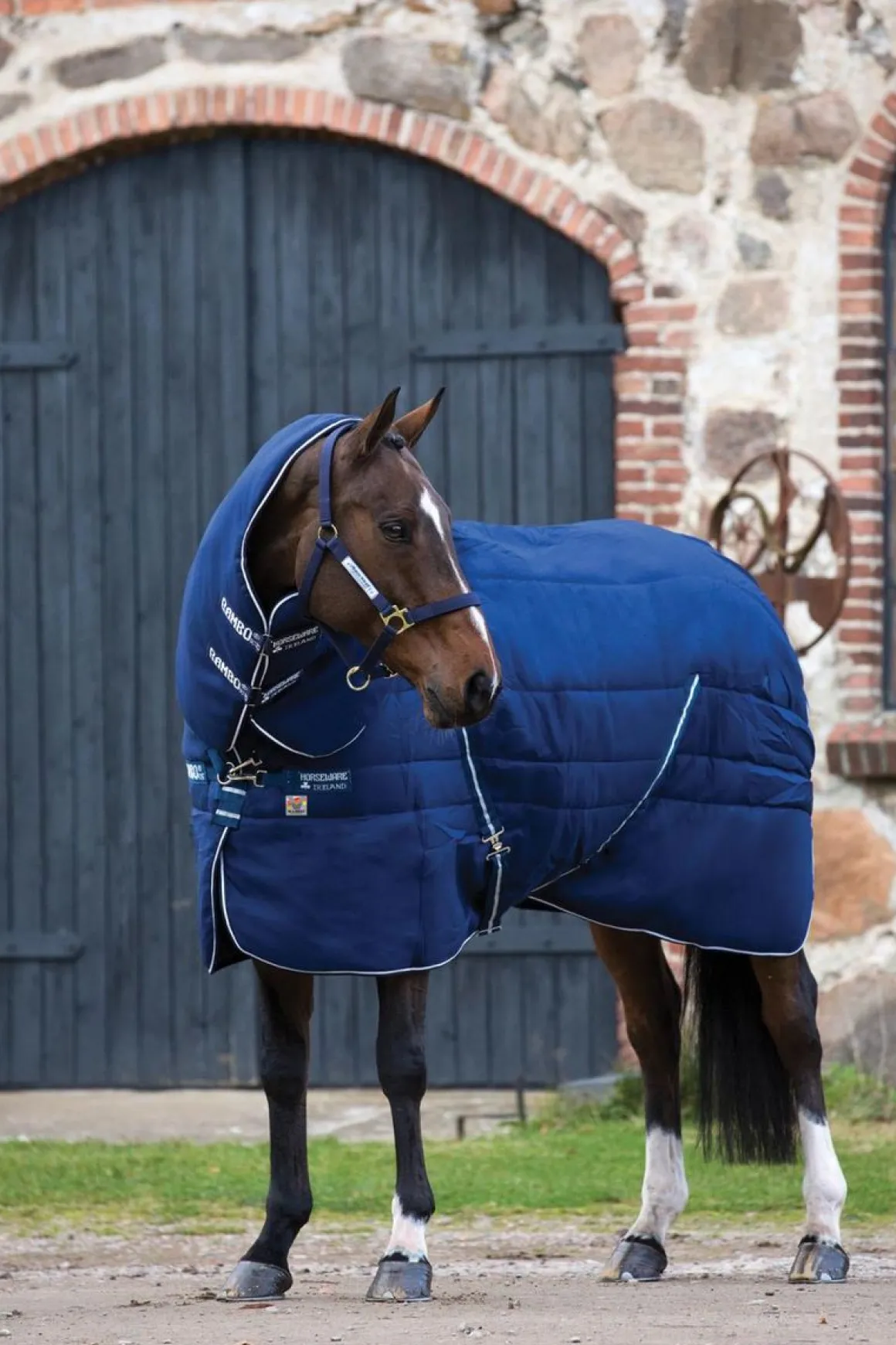Rambo Stable Plus Vari-Layer 450g