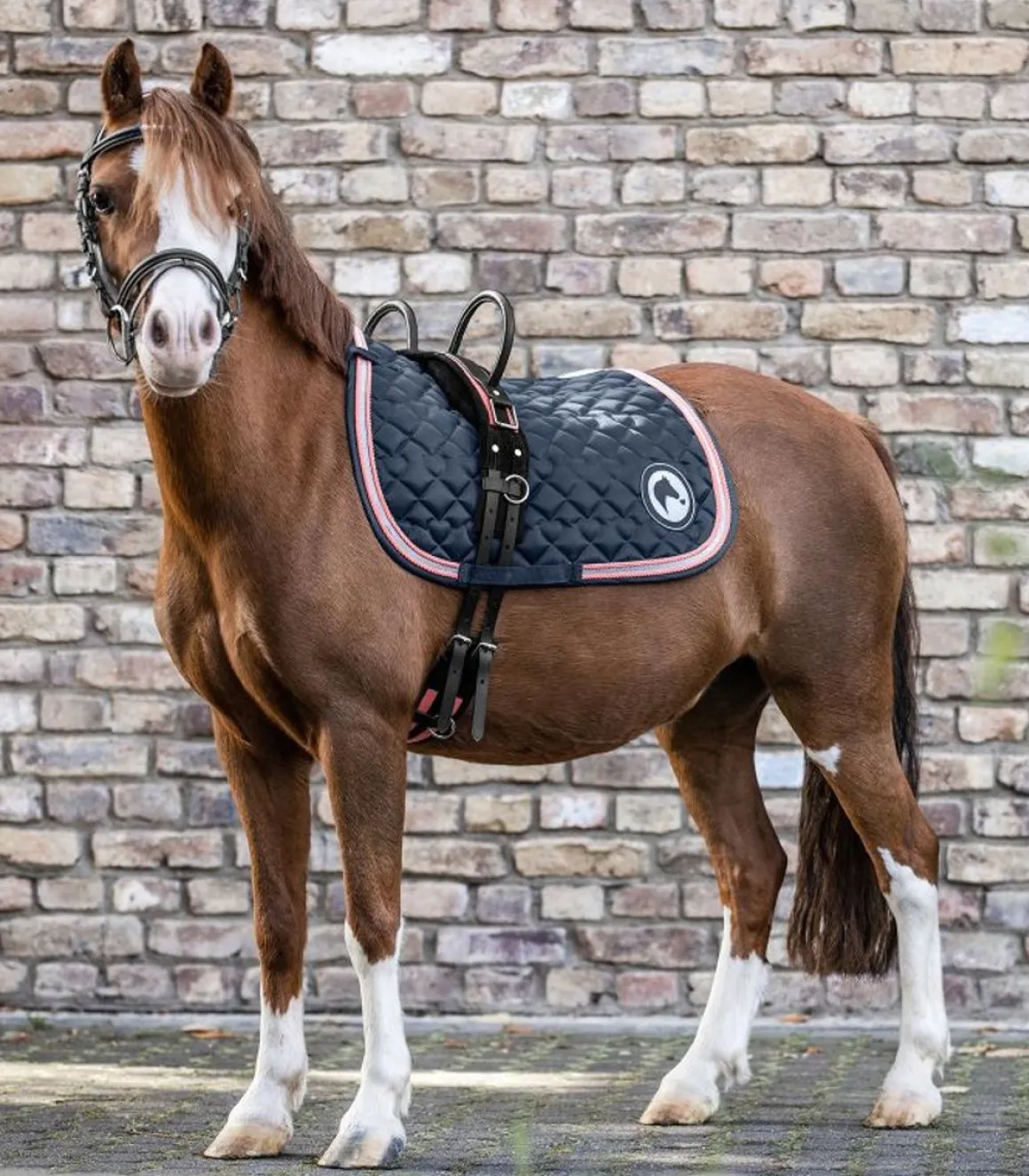 Ridegjord m/håndtak for barn