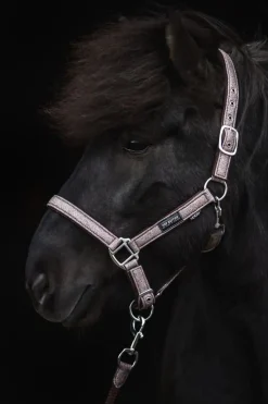 Top Reiter Glitrandi Grimesett - Rosa