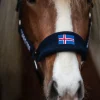 Top Reiter Klaki Grimesett til Islandshest - Iceland