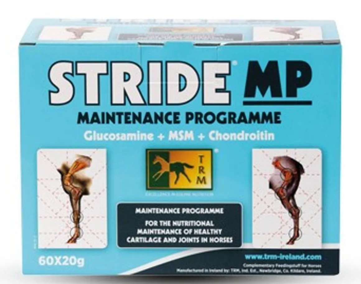 TRM Stride MP 60 x 20g